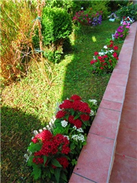 37b626d0-IMG_0528 – kopija.JPG